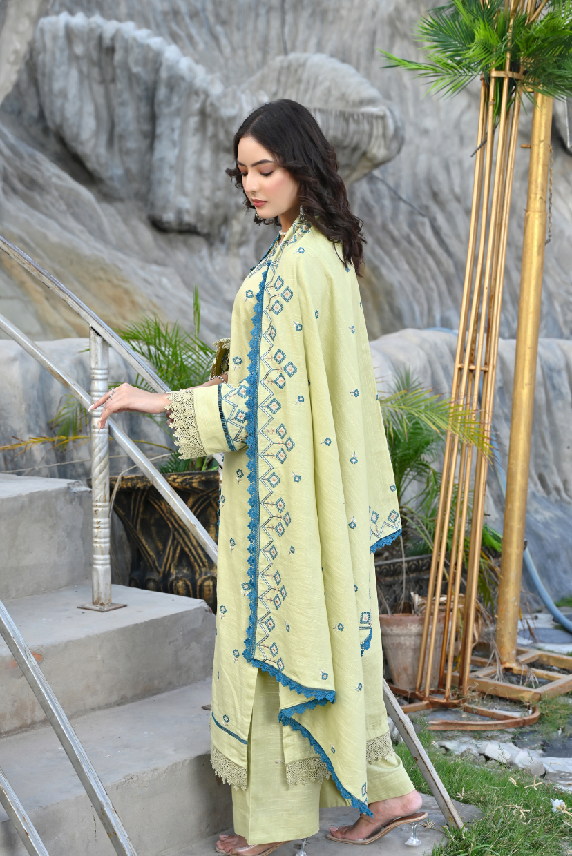 Lime Zest 3-Piece Embroidered Khaddar Suit