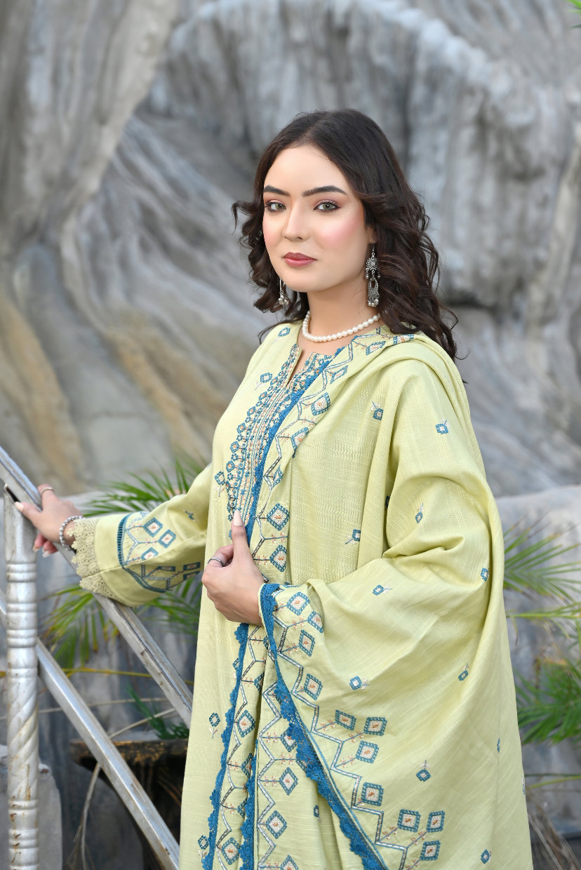 Lime Zest 3-Piece Embroidered Khaddar Suit